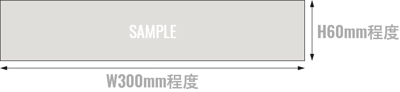 サイズ大（胸 or 背中）